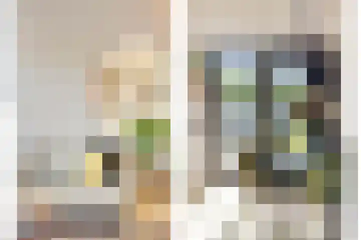 Havikskruid 33 Boxmeer thumbnail 7