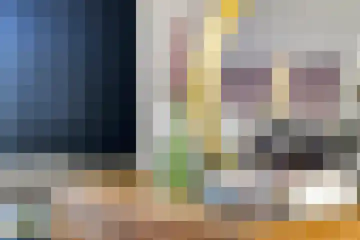 Havikskruid 33 Boxmeer thumbnail 8