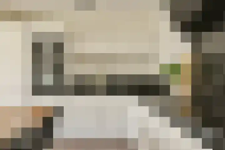 Havikskruid 33 Diemen thumbnail 10