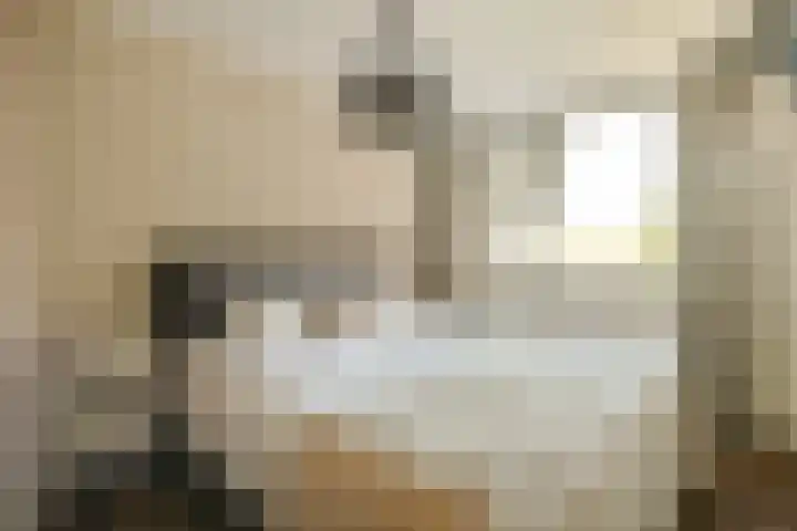 Havikskruid 33 Diemen thumbnail 12