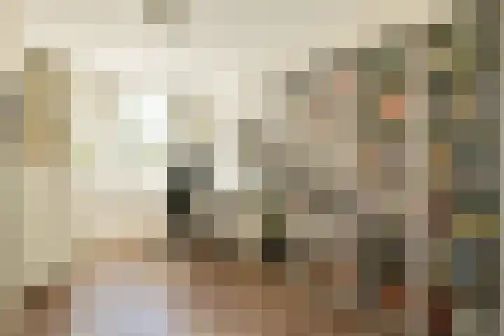 Havikskruid 33 Diemen thumbnail 15