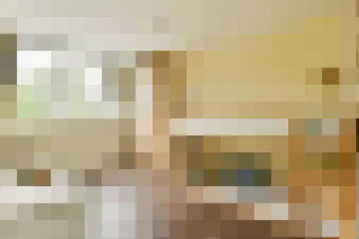 Havikskruid 33 Diemen thumbnail 16
