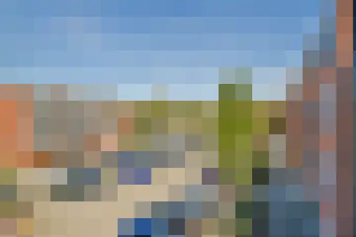 Havikskruid 33 Diemen thumbnail 19