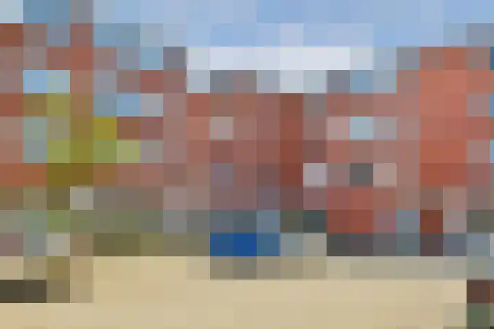 Havikskruid 33 Diemen thumbnail 20