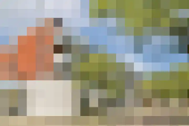 Havikskruid 33 Diemen thumbnail 21