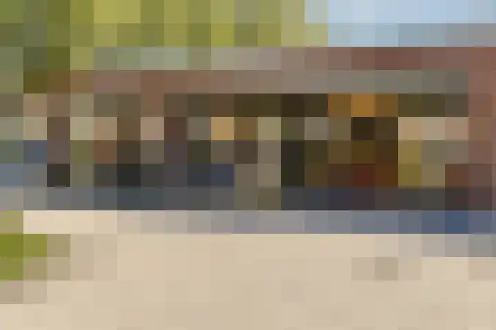 Havikskruid 33 Diemen thumbnail 25