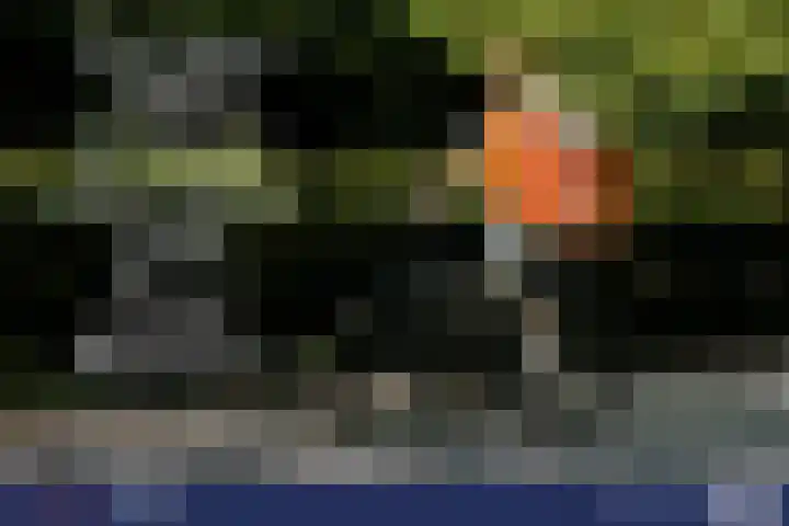 Havikskruid 33 Diemen thumbnail 26