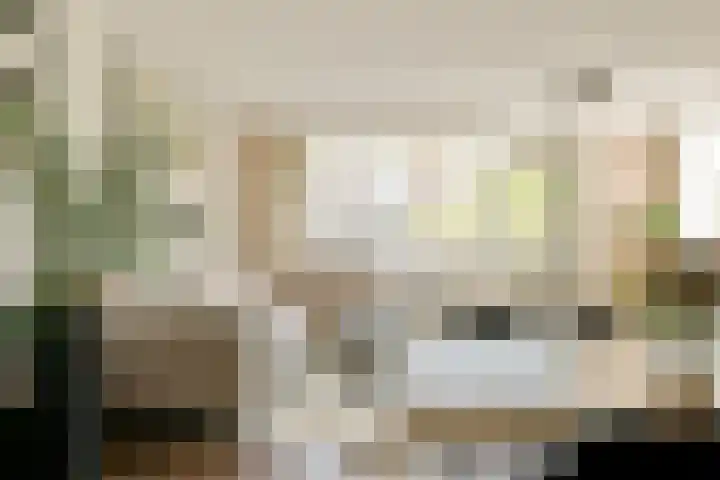 Havikskruid 33 Diemen thumbnail 4