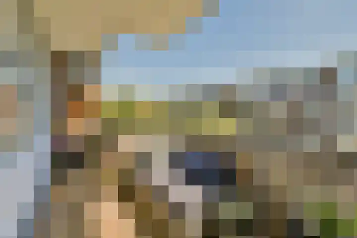 Havikskruid 33 Diemen thumbnail 6