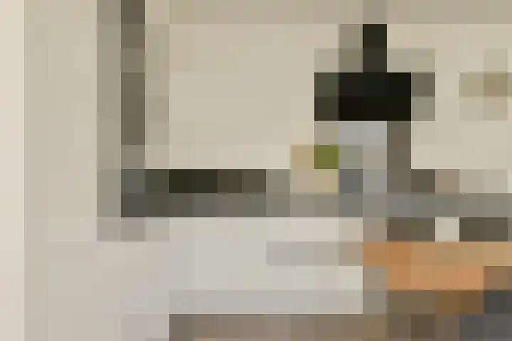 Havikskruid 33 Diemen thumbnail 8