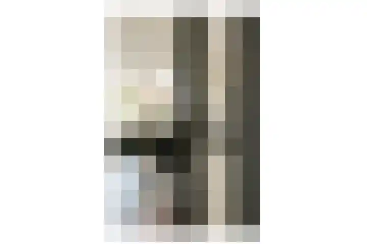 Havikskruid 33 Diemen thumbnail 9