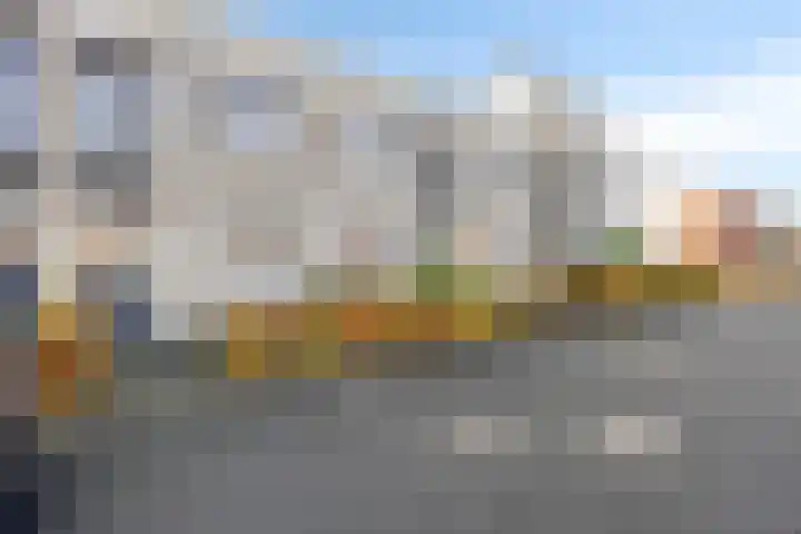 Havikskruid 34 in Berghem