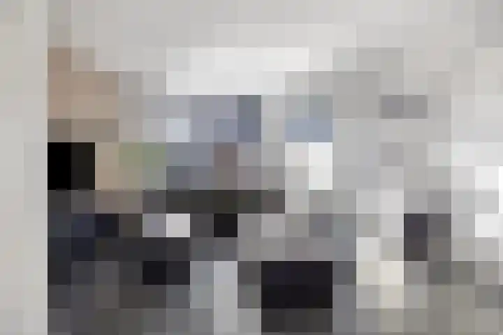 Havikskruid 34 Berghem thumbnail 10
