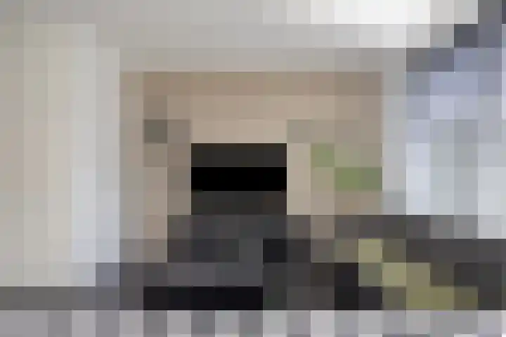 Havikskruid 34 Berghem thumbnail 12
