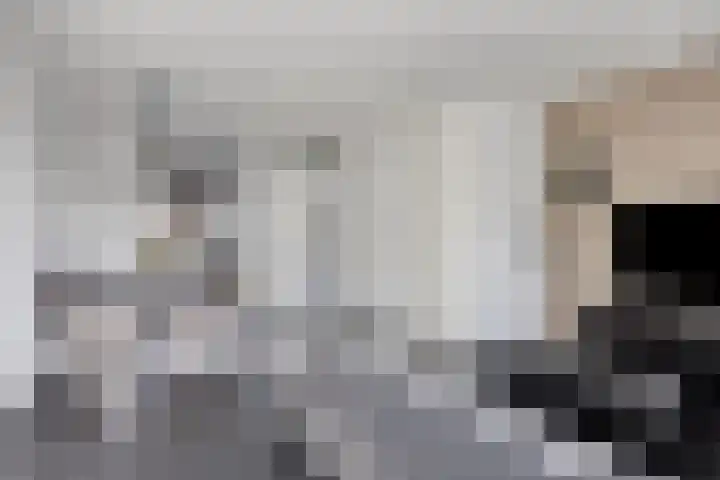 Havikskruid 34 Berghem thumbnail 13