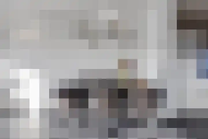 Havikskruid 34 Berghem thumbnail 16