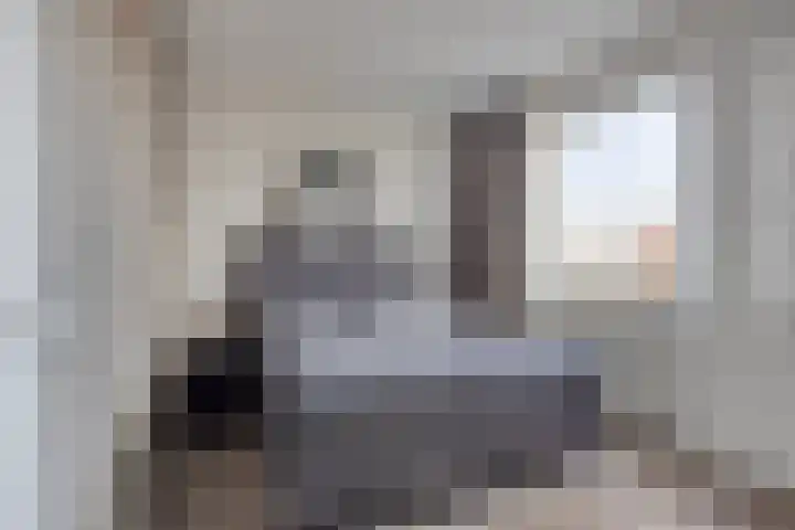 Havikskruid 34 Berghem thumbnail 27