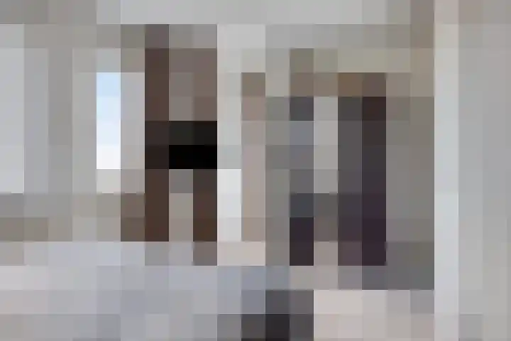 Havikskruid 34 Berghem thumbnail 28