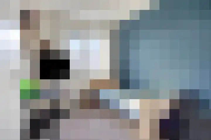 Havikskruid 34 Berghem thumbnail 33