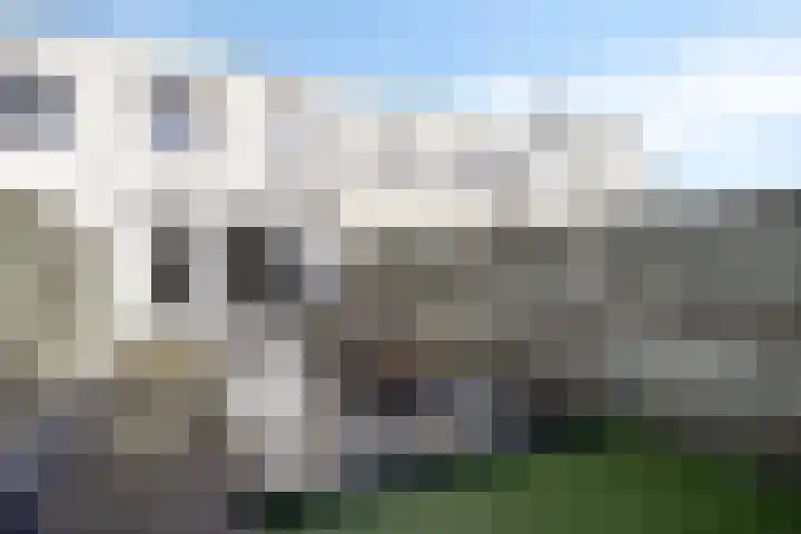 Havikskruid 34 Berghem thumbnail 38