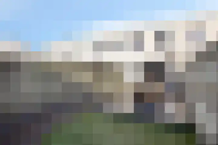 Havikskruid 34 Berghem thumbnail 41