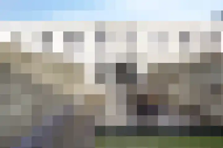 Havikskruid 34 Berghem thumbnail 42