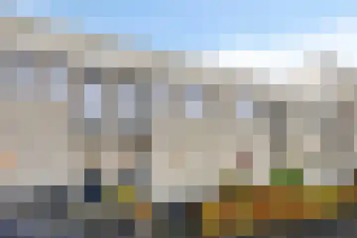 Havikskruid 34 Berghem thumbnail 45