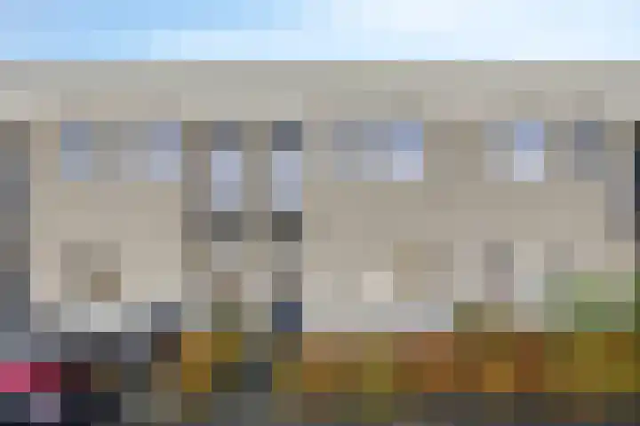 Havikskruid 34 Berghem thumbnail 46