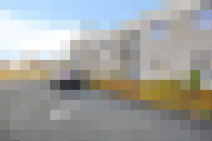 Havikskruid 34 Berghem thumbnail 47