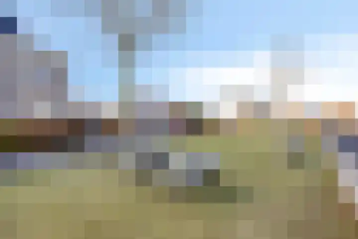 Havikskruid 34 Berghem thumbnail 48