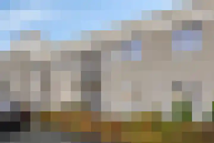 Havikskruid 34 Berghem thumbnail 5