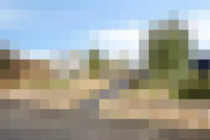 Havikskruid 34 Berghem thumbnail 50