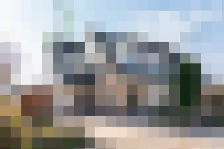 Havikskruid 4 in Swifterbant