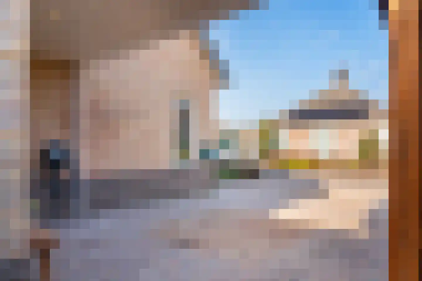 Havikskruid 4 Swifterbant thumbnail 10