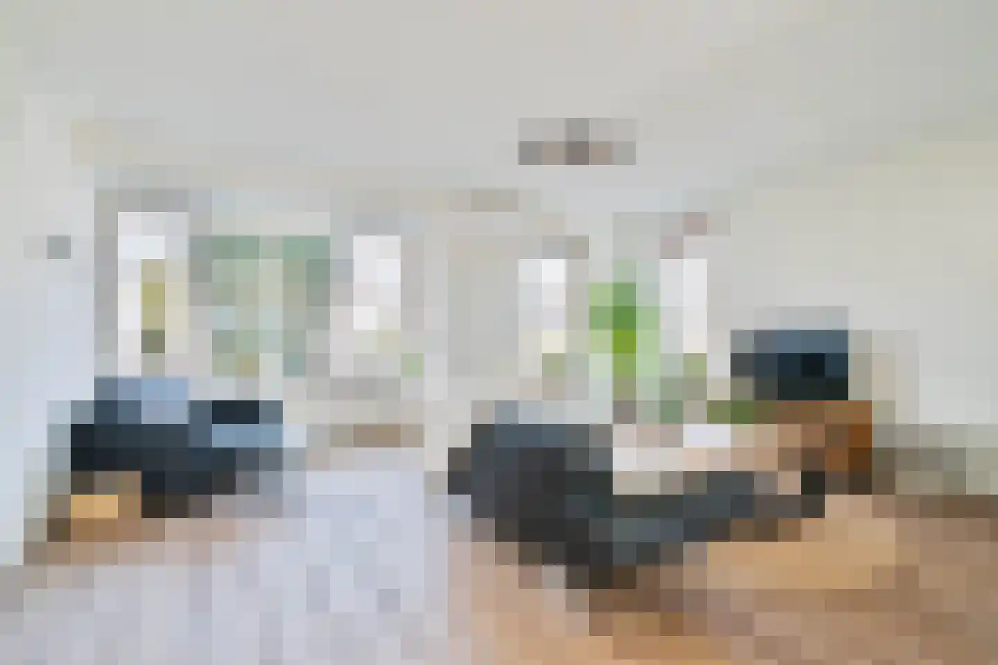 Havikskruid 4 Swifterbant thumbnail 12