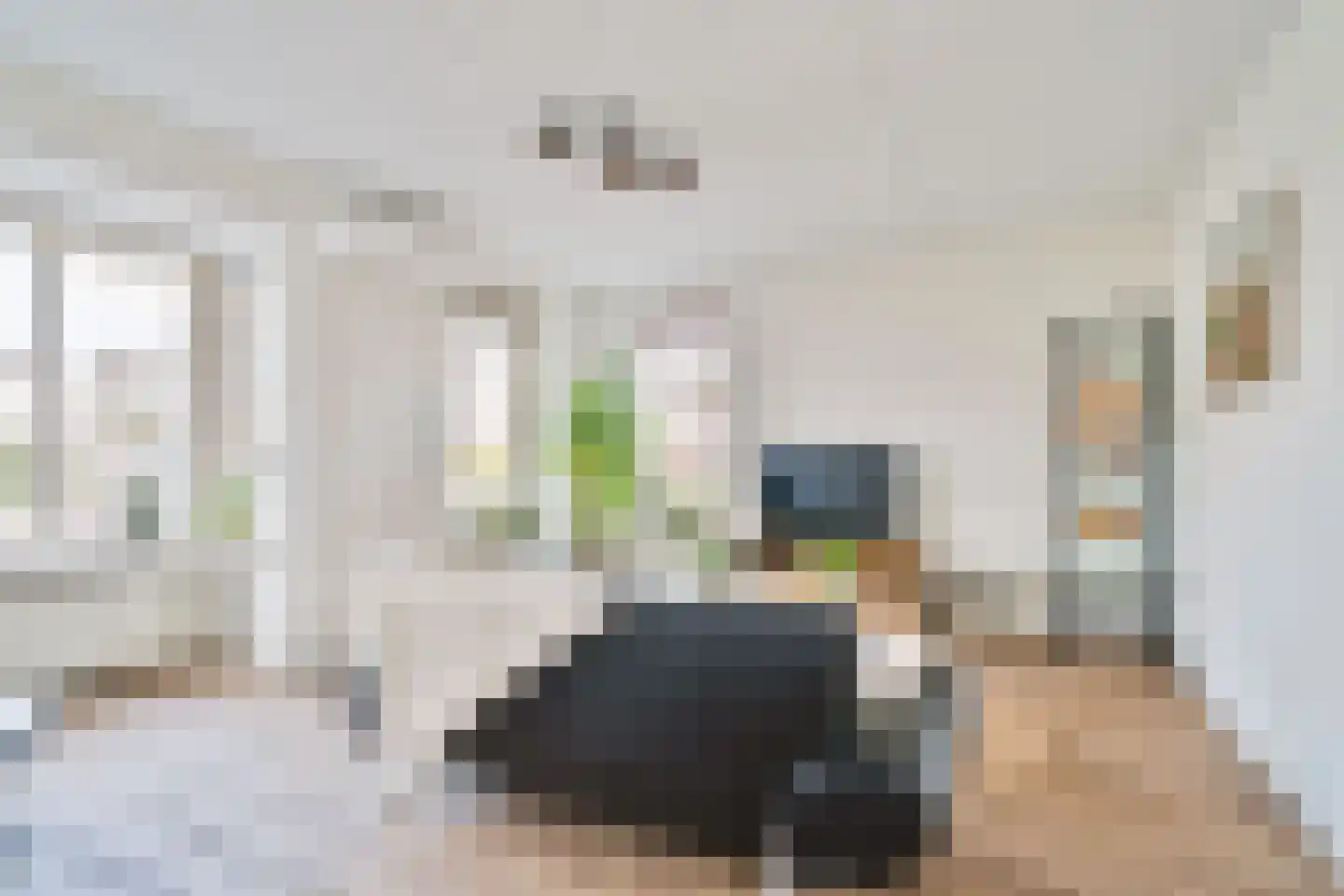 Havikskruid 4 Swifterbant thumbnail 13
