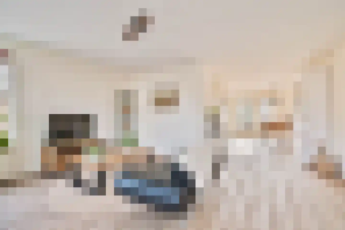 Havikskruid 4 Swifterbant thumbnail 14