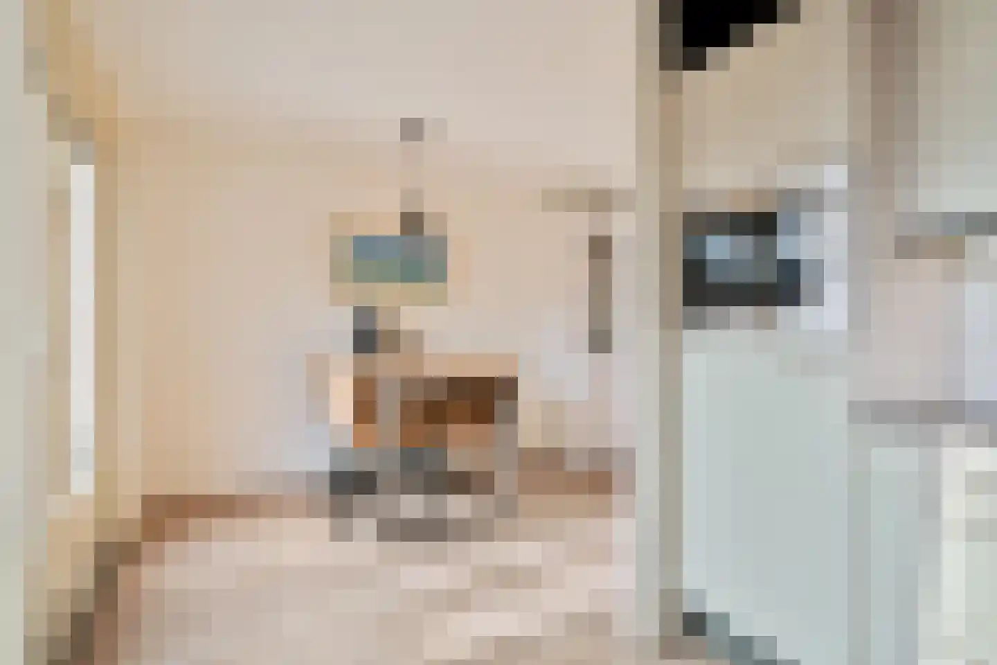 Havikskruid 4 Swifterbant thumbnail 17