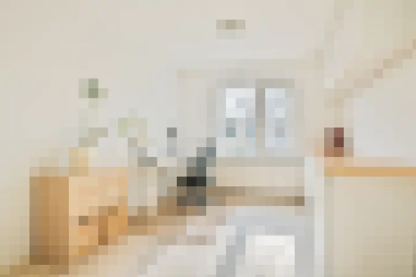 Havikskruid 4 Swifterbant thumbnail 19