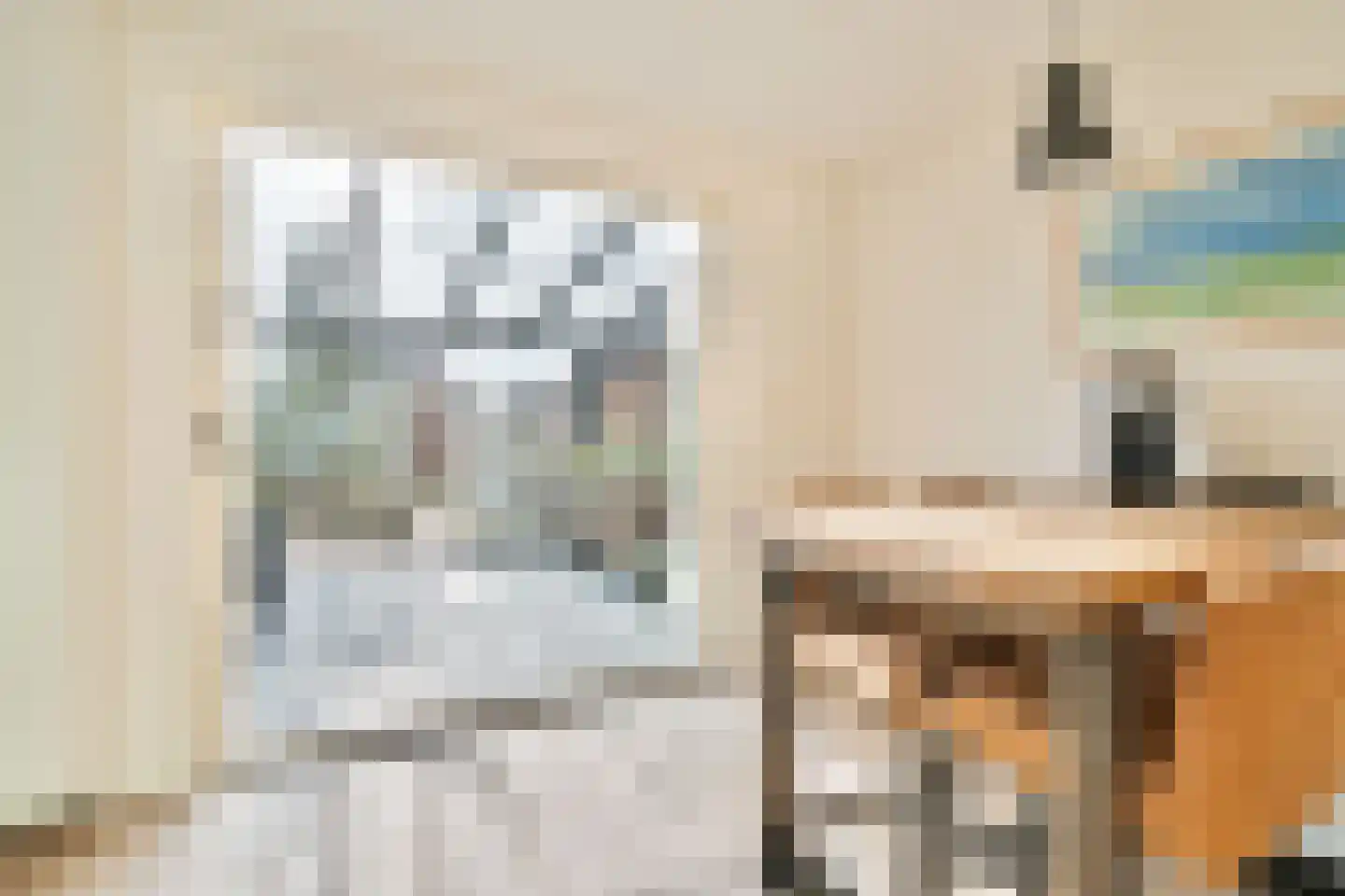 Havikskruid 4 Swifterbant thumbnail 21