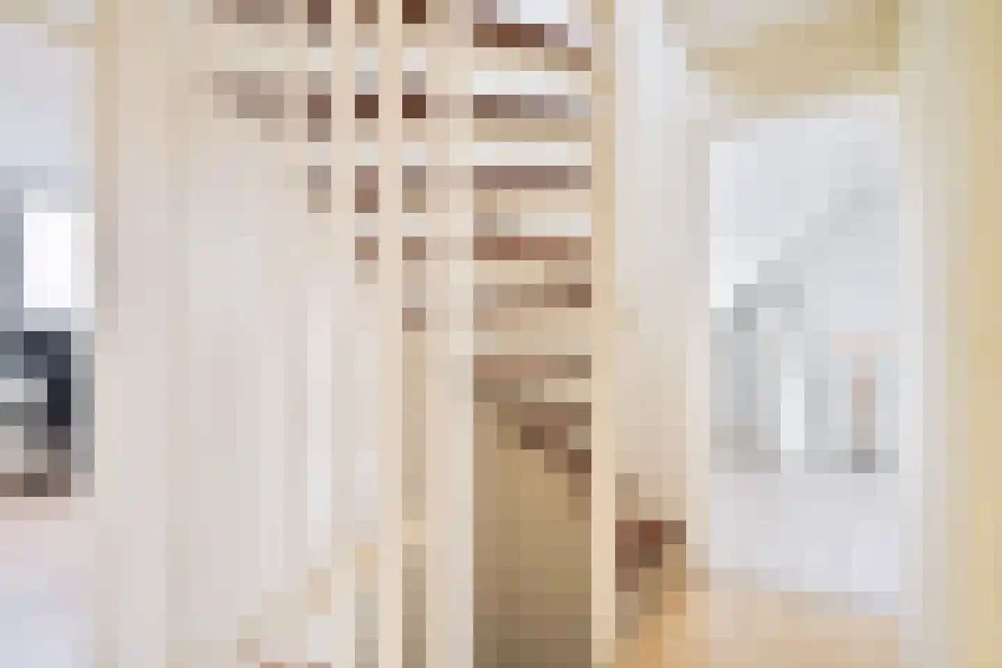 Havikskruid 4 Swifterbant thumbnail 22
