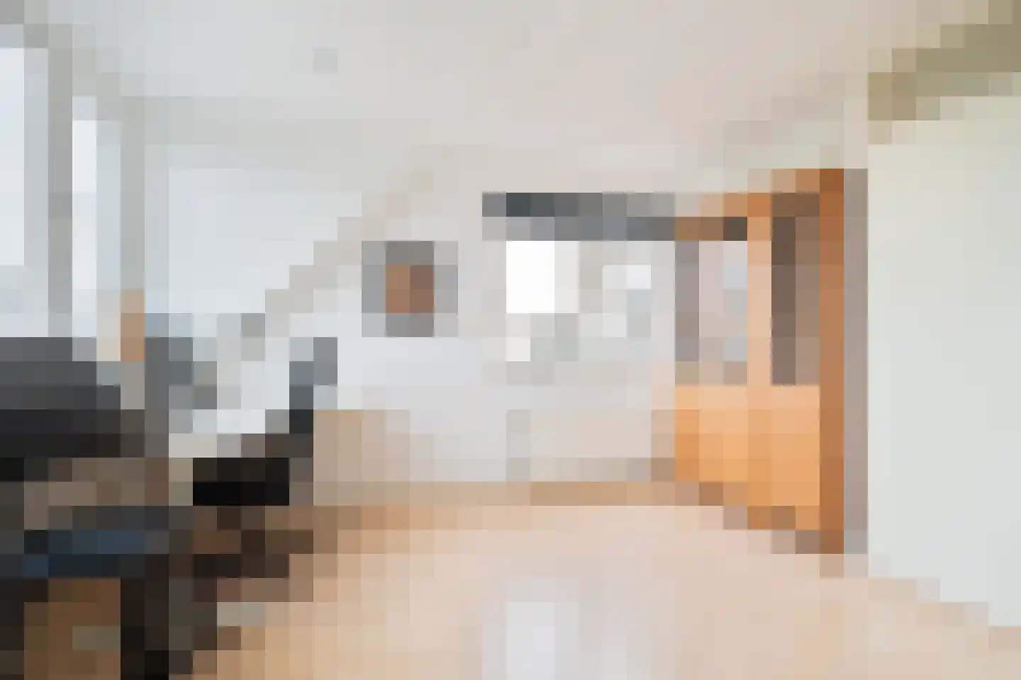 Havikskruid 4 Swifterbant thumbnail 24