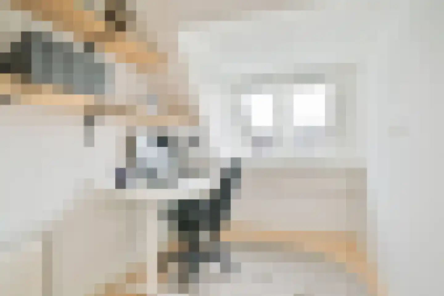 Havikskruid 4 Swifterbant thumbnail 28