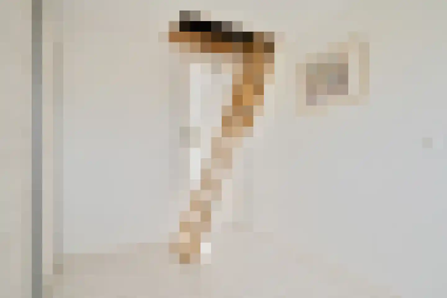 Havikskruid 4 Swifterbant thumbnail 30