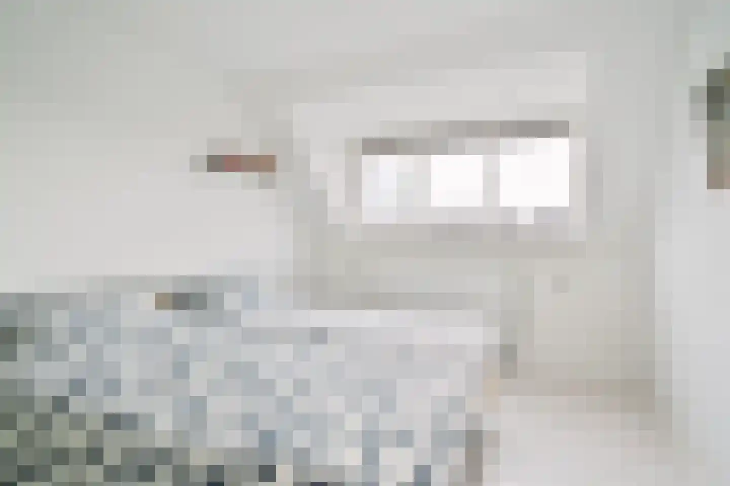 Havikskruid 4 Swifterbant thumbnail 32