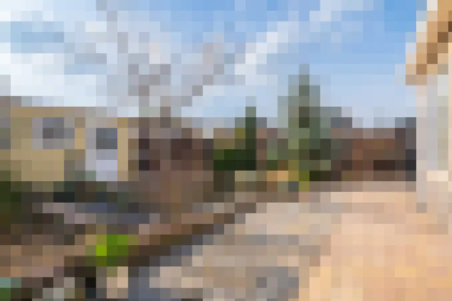 Havikskruid 4 Swifterbant thumbnail 35
