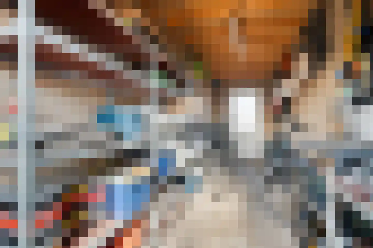 Havikskruid 4 Swifterbant thumbnail 36