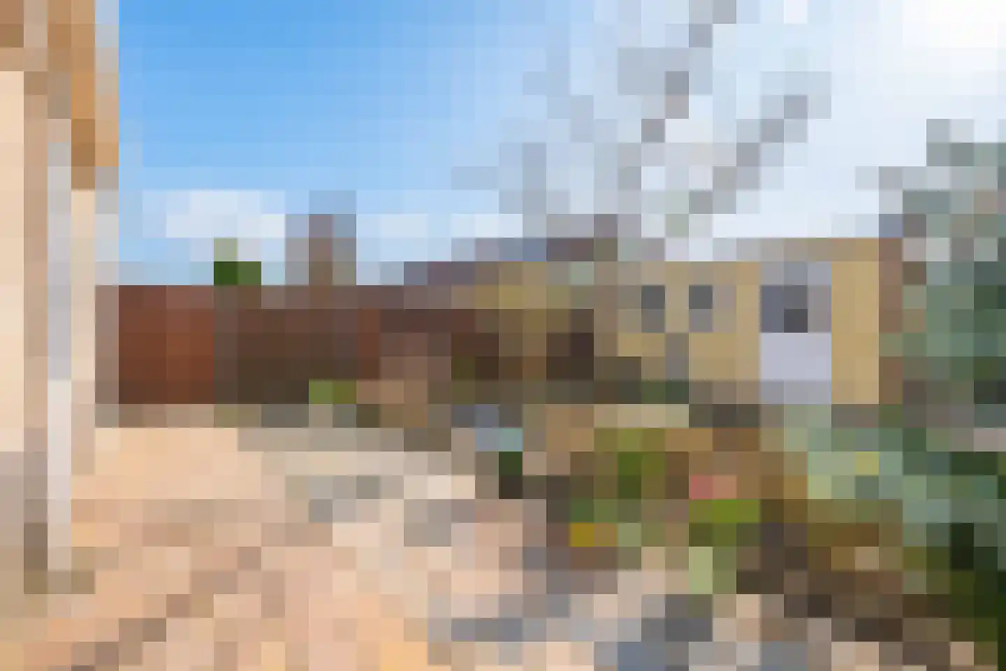 Havikskruid 4 Swifterbant thumbnail 37