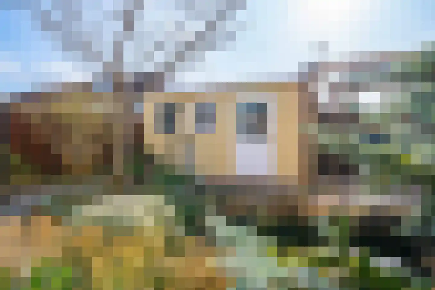 Havikskruid 4 Swifterbant thumbnail 38