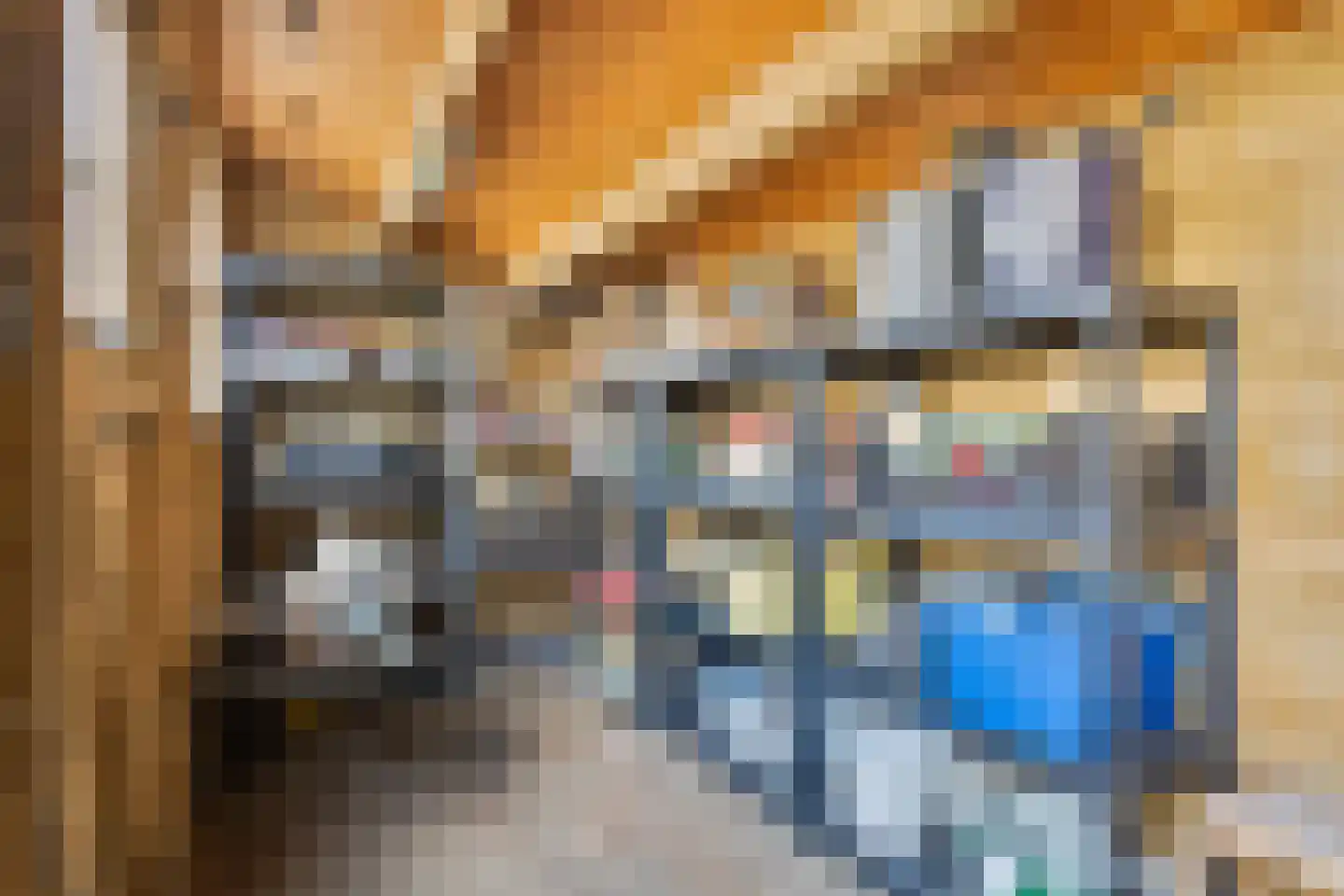 Havikskruid 4 Swifterbant thumbnail 39